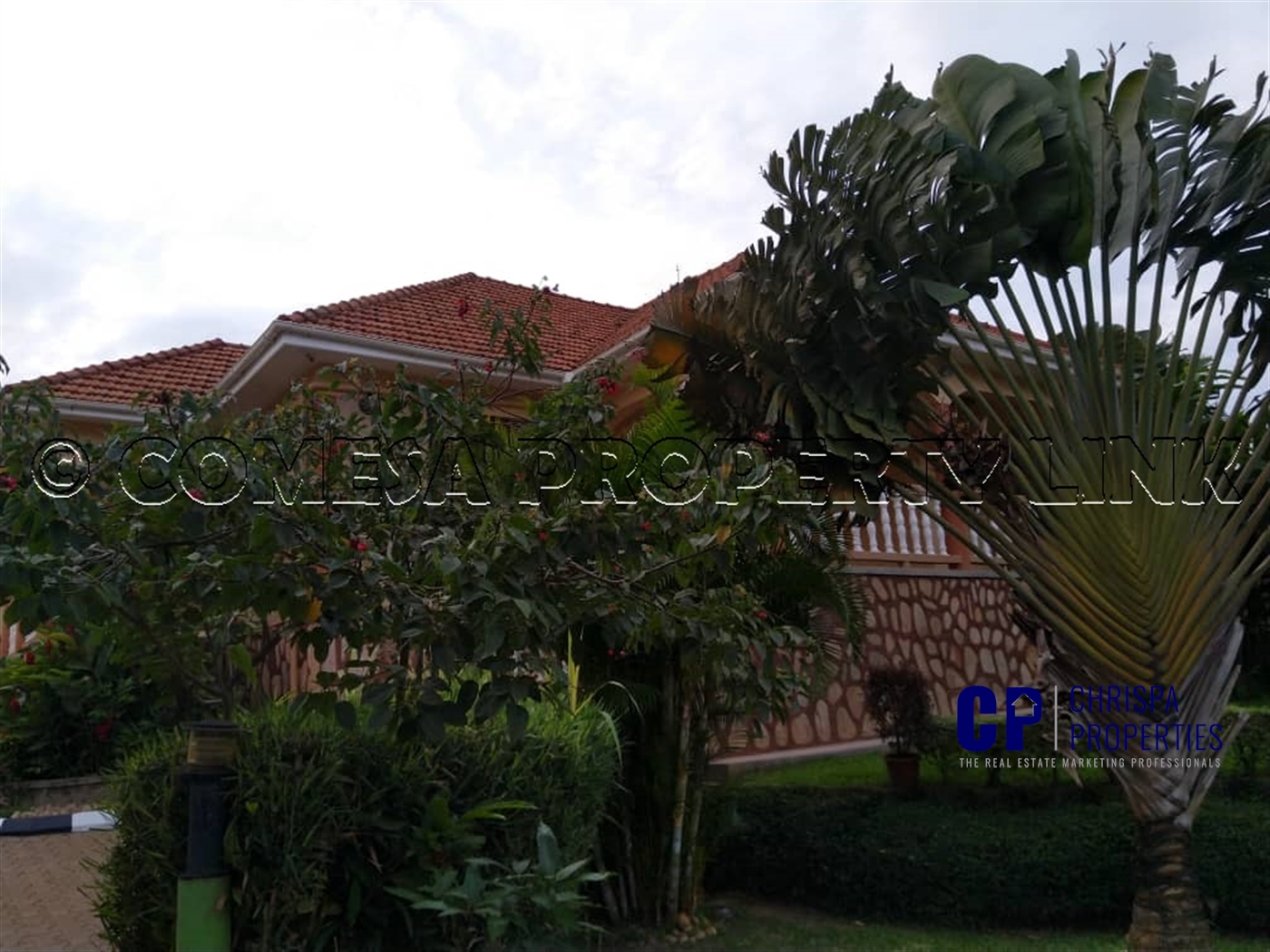 Bungalow for sale in Muyenga Kampala