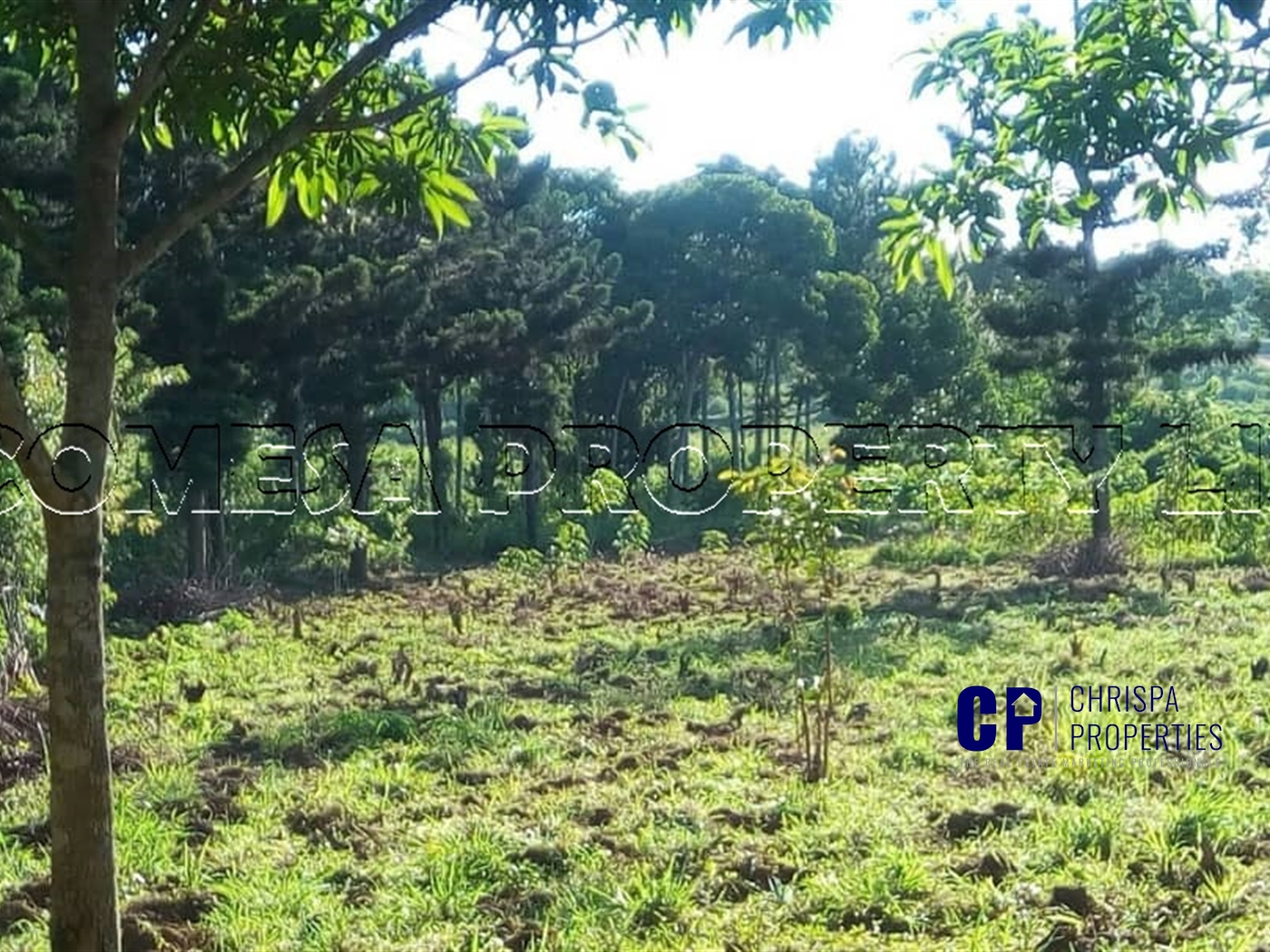 Multipurpose Land for sale in Lutembe Wakiso