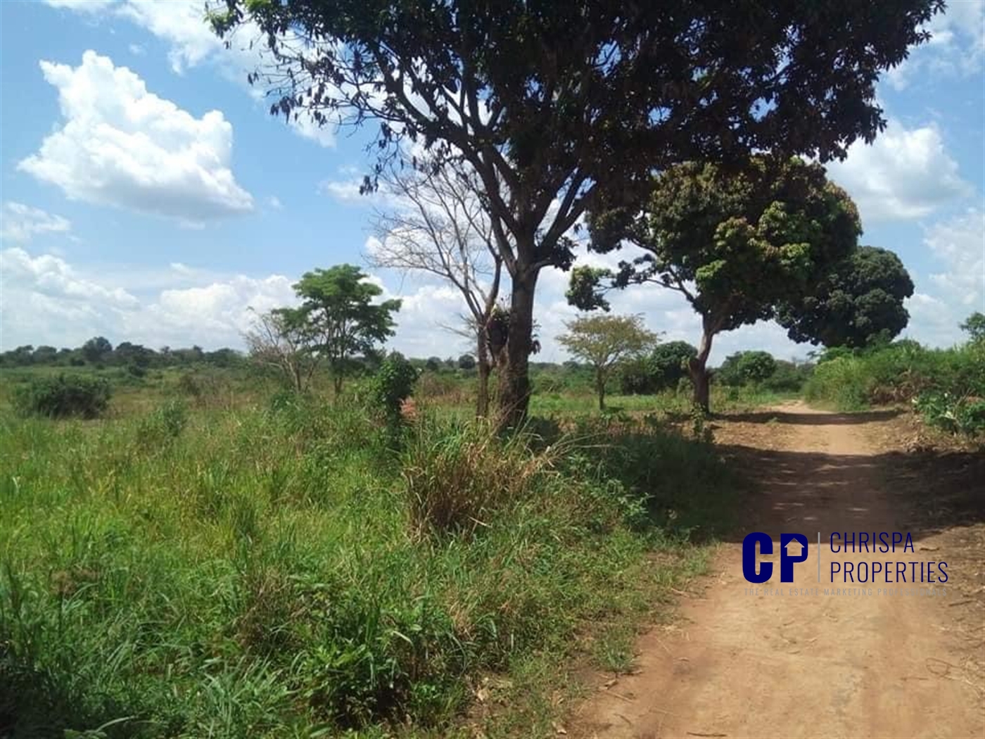 Multipurpose Land for sale in Kikyuusa Luweero