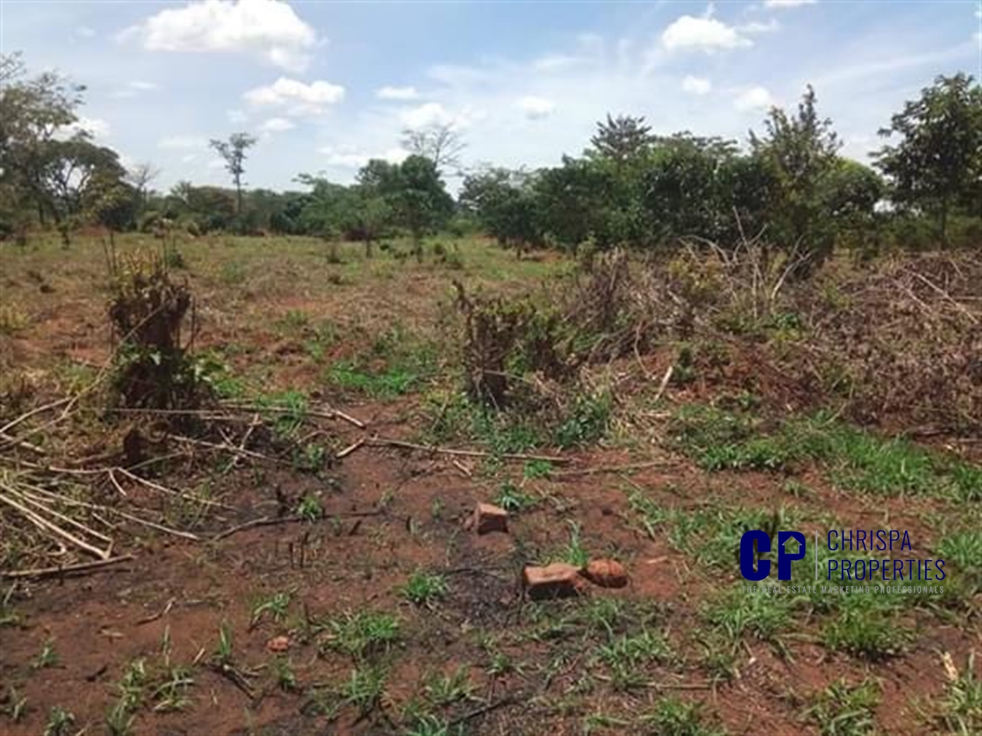 Commercial Land for sale in Kikyuusa Luweero