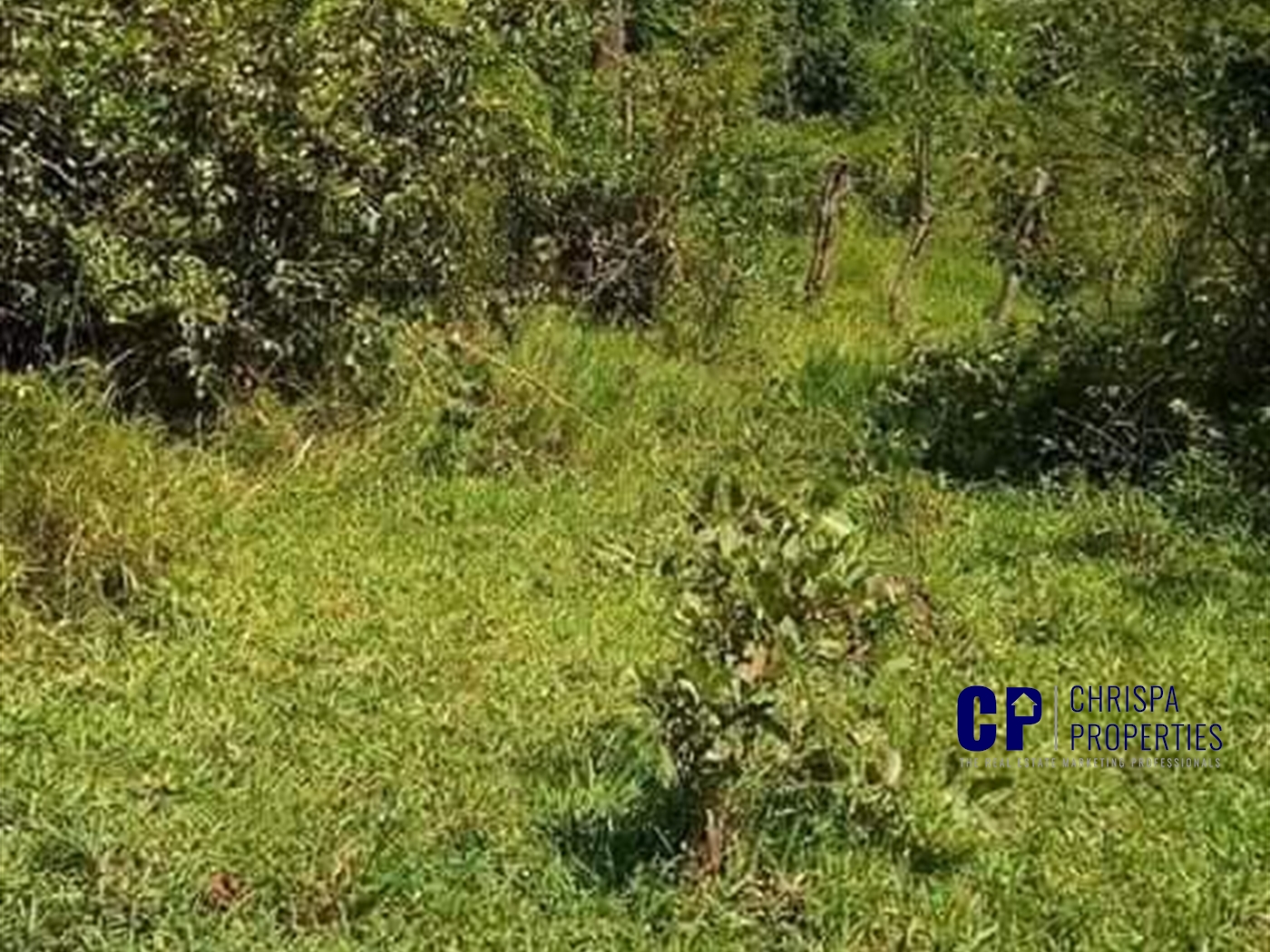 Commercial Land for sale in Kisubi Kampala