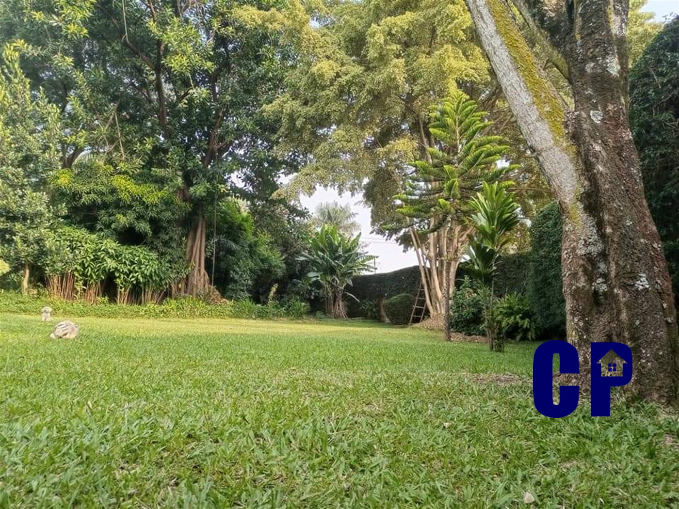 Bungalow for rent in Muyenga Kampala