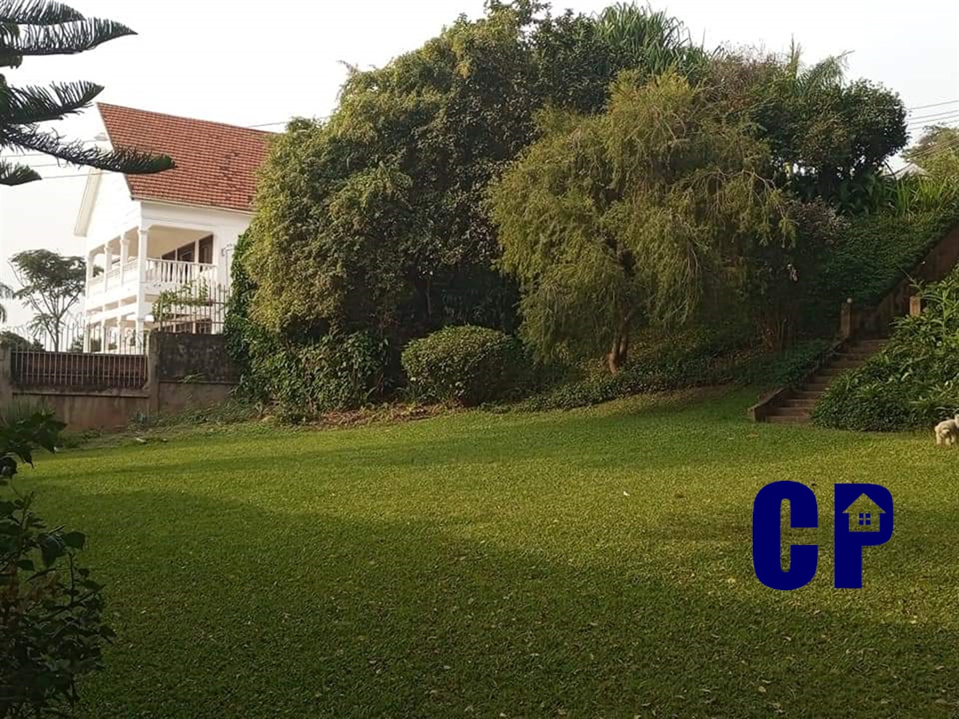 Bungalow for rent in Muyenga Kampala