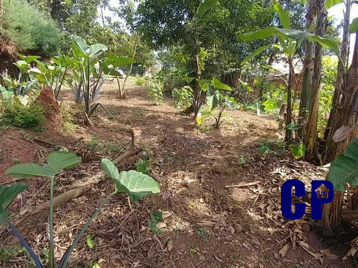 Residential Land for sale in Kisaasi Kampala