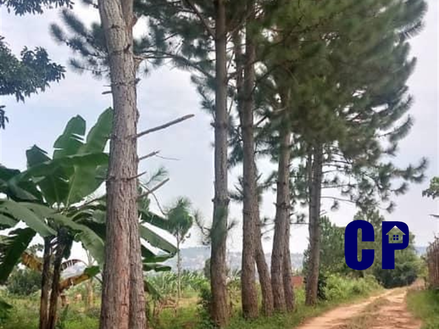 Residential Land for sale in Kigo Wakiso