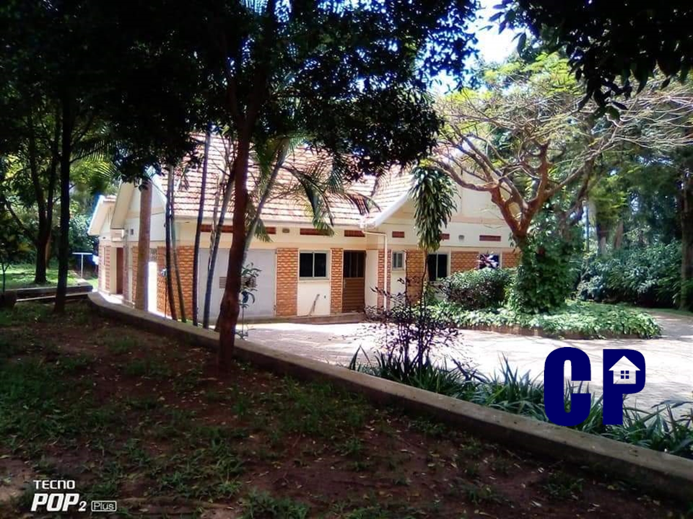 Bungalow for rent in Kololo Kampala