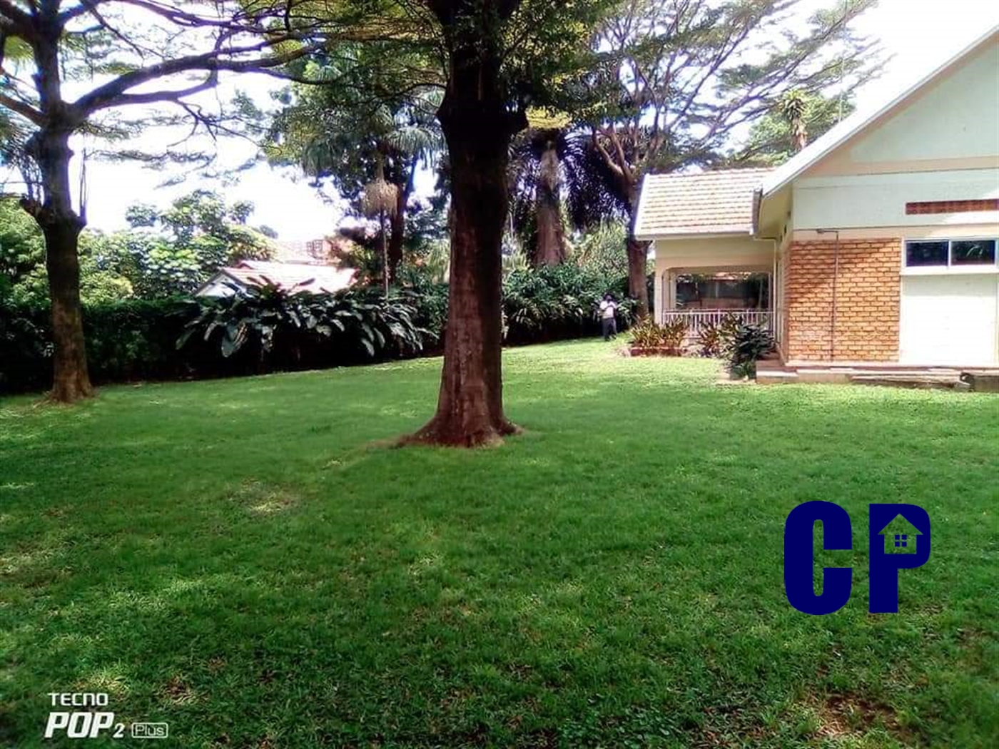 Bungalow for rent in Kololo Kampala