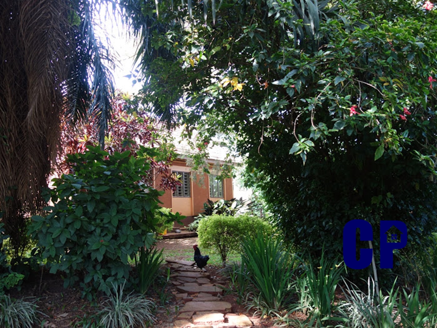 Storeyed house for sale in Kansanga Kampala