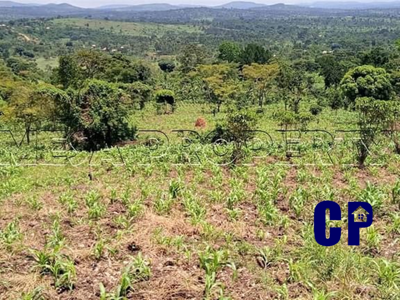 Commercial Land for sale in Mitiyana Mityana