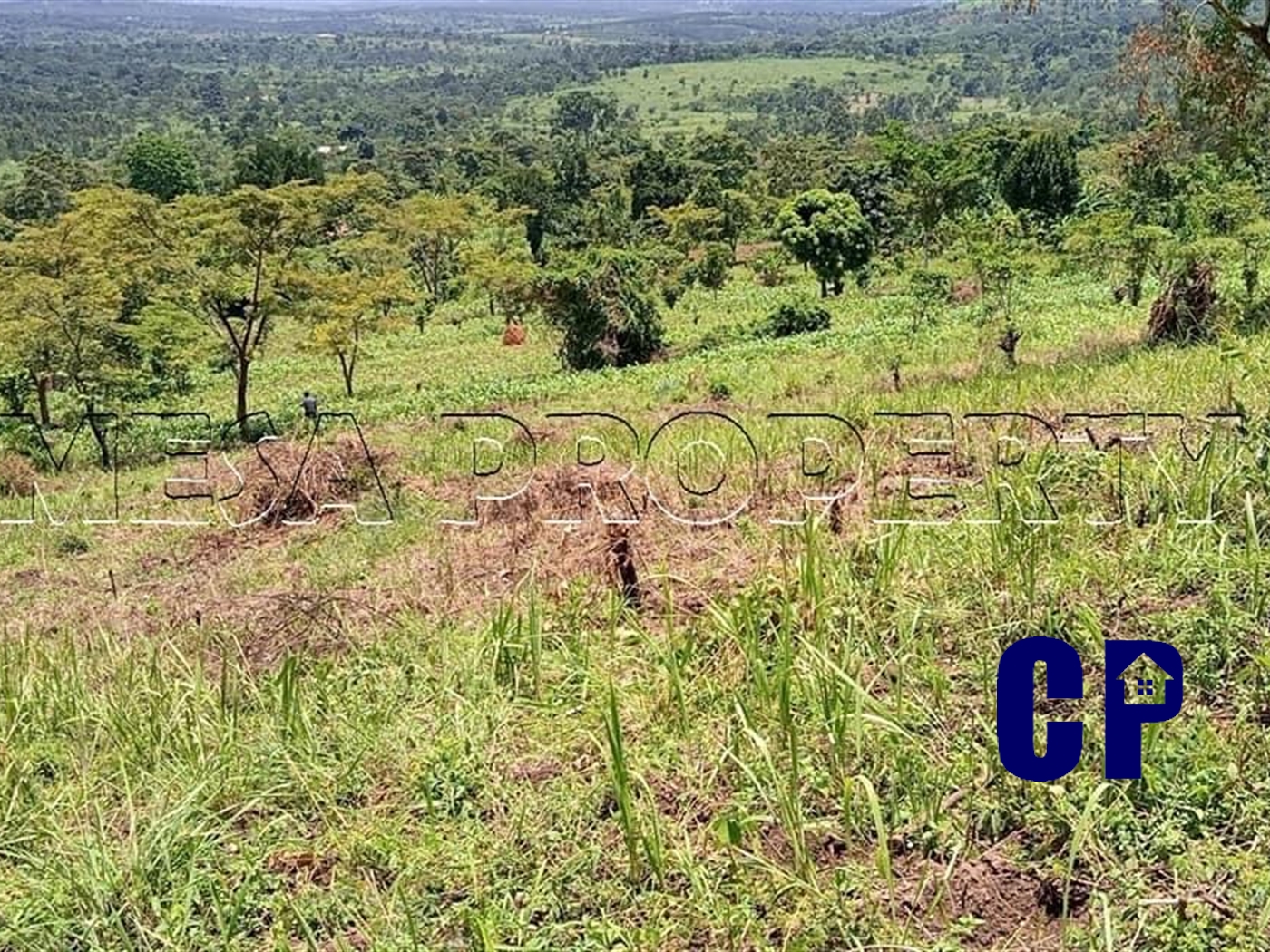 Commercial Land for sale in Mitiyana Mityana