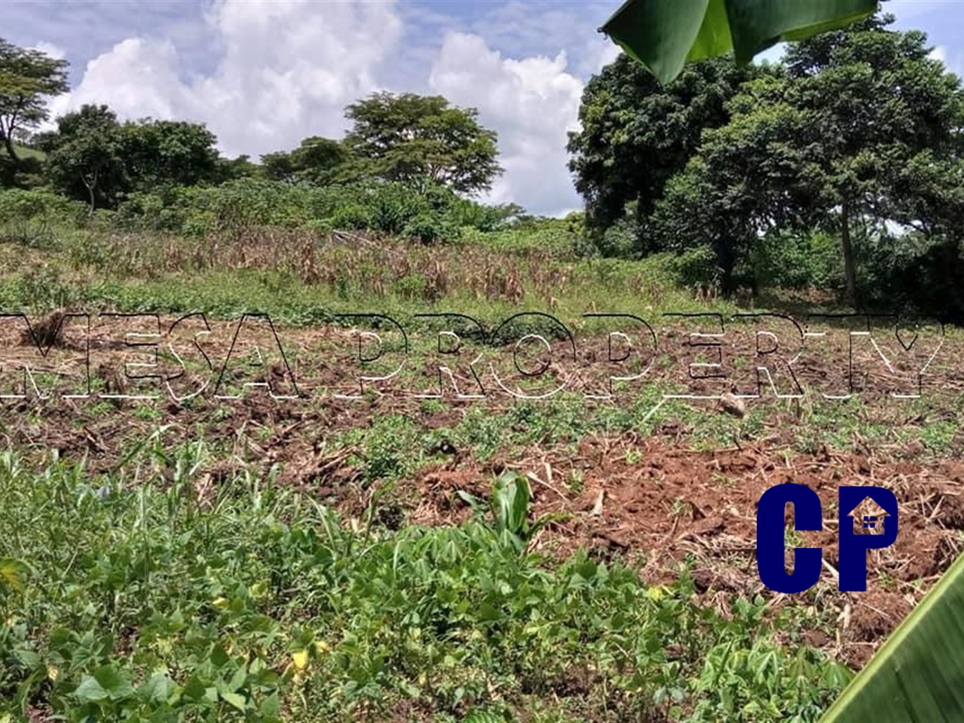 Commercial Land for sale in Mitiyana Mityana