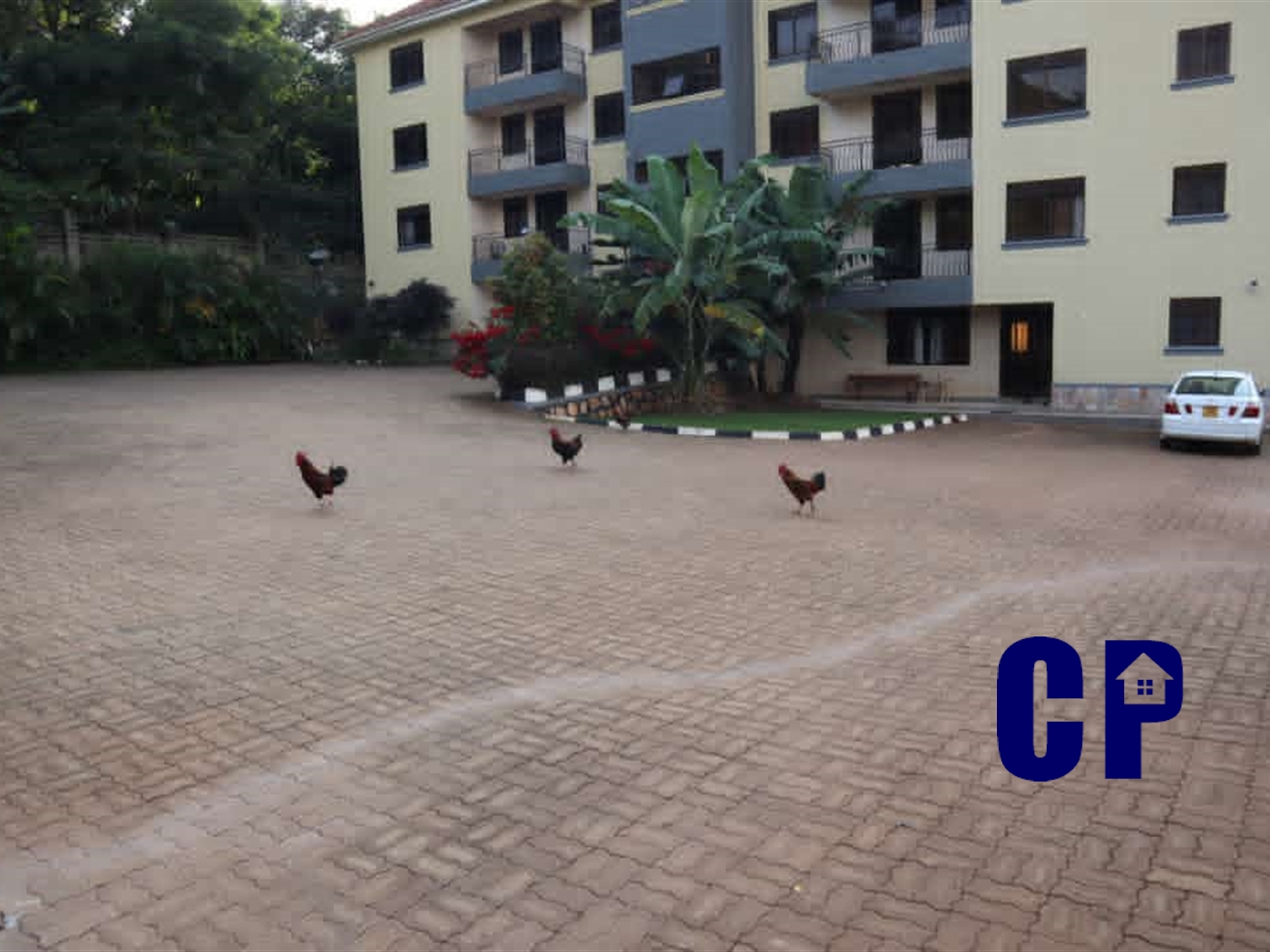 Apartment for rent in Makindye Kampala