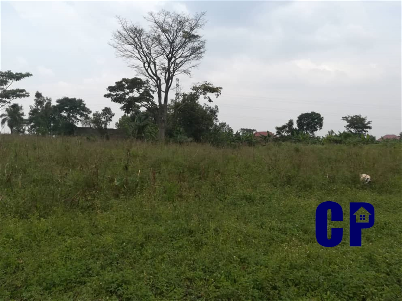 Residential Land for sale in Namawojjolo Mukono