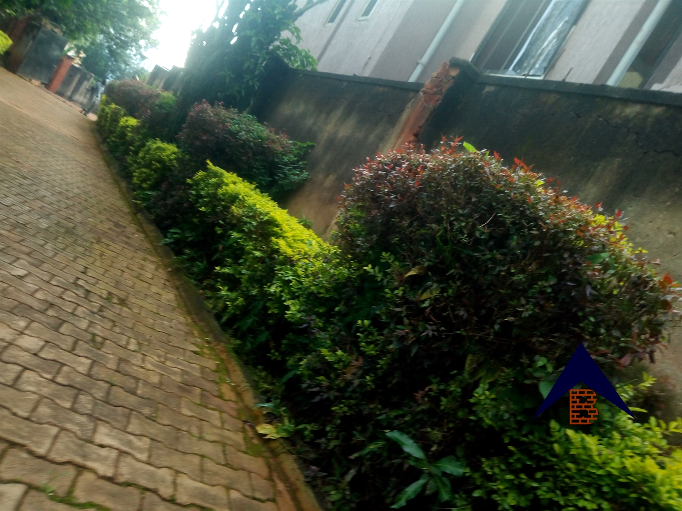 Bungalow for rent in Muyenga Kampala