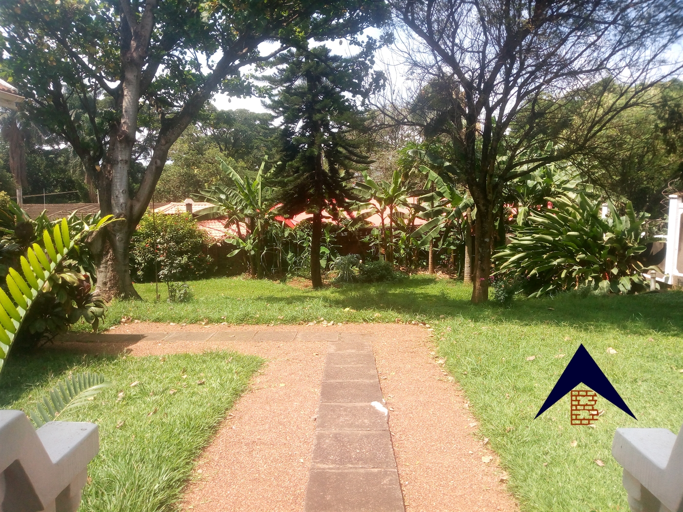 Bungalow for rent in Kololo Kampala