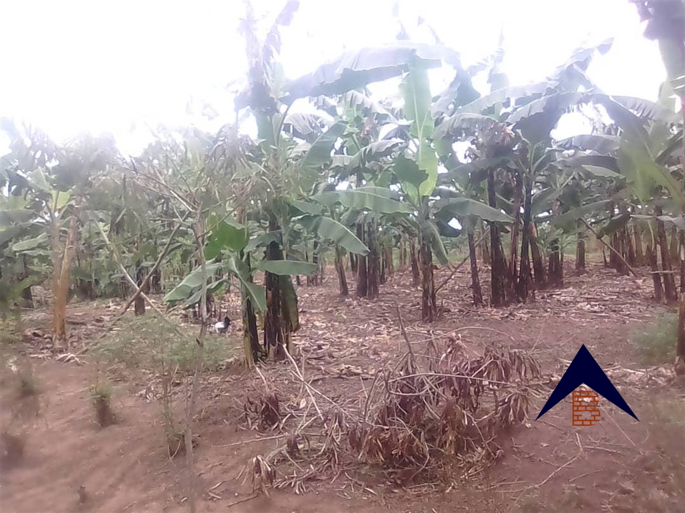 Multipurpose Land for sale in Mate Wakiso