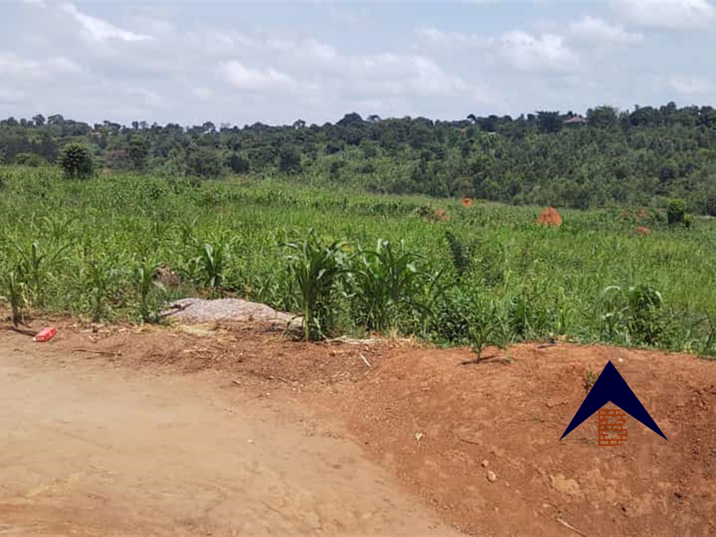 Multipurpose Land for sale in Namulonge Wakiso