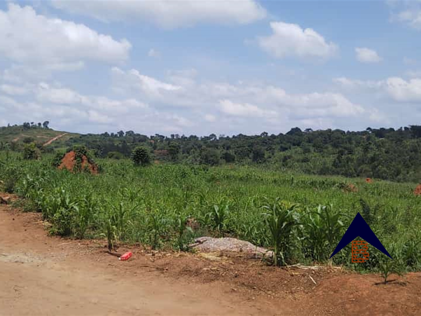 Multipurpose Land for sale in Namulonge Wakiso