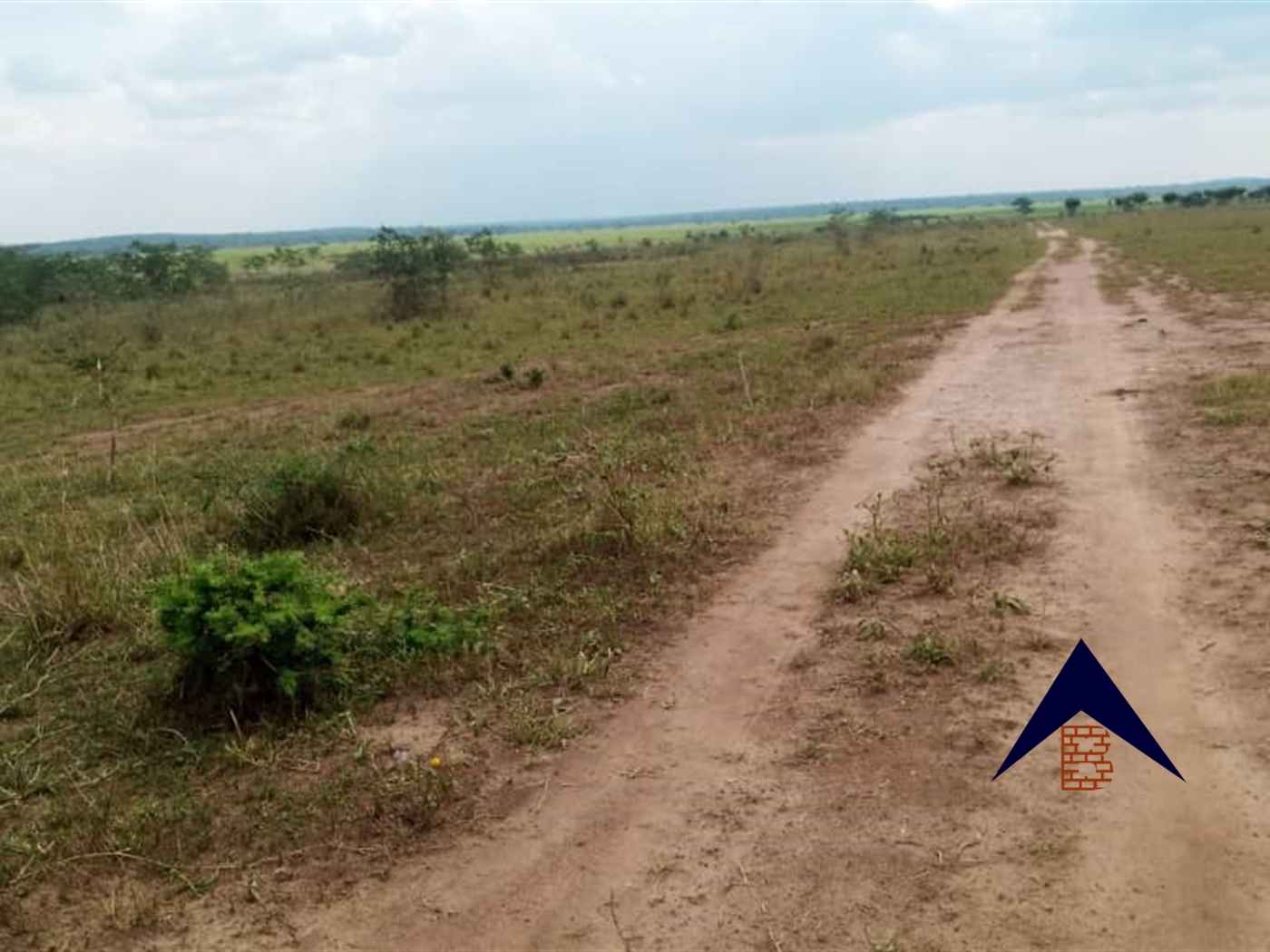 Agricultural Land for sale in Kakooge Luwero