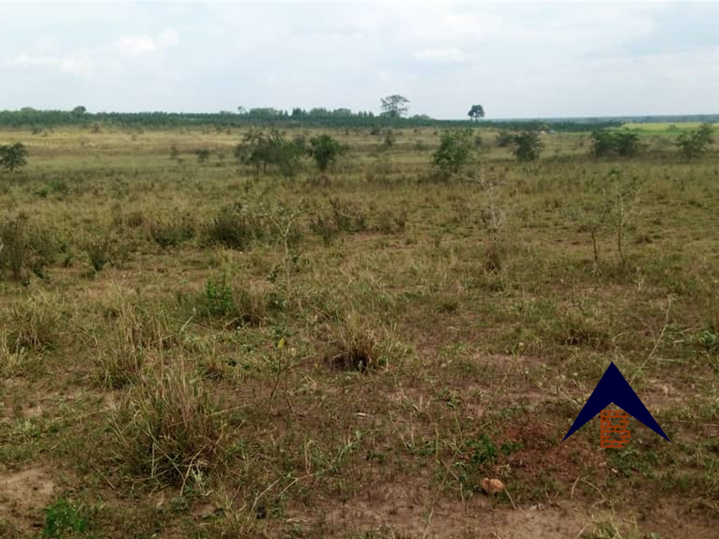 Agricultural Land for sale in Kakooge Luwero