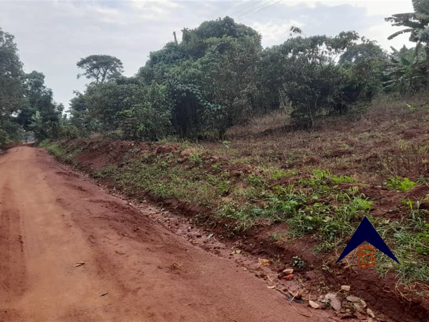 Agricultural Land for sale in Kakuuto Luweero