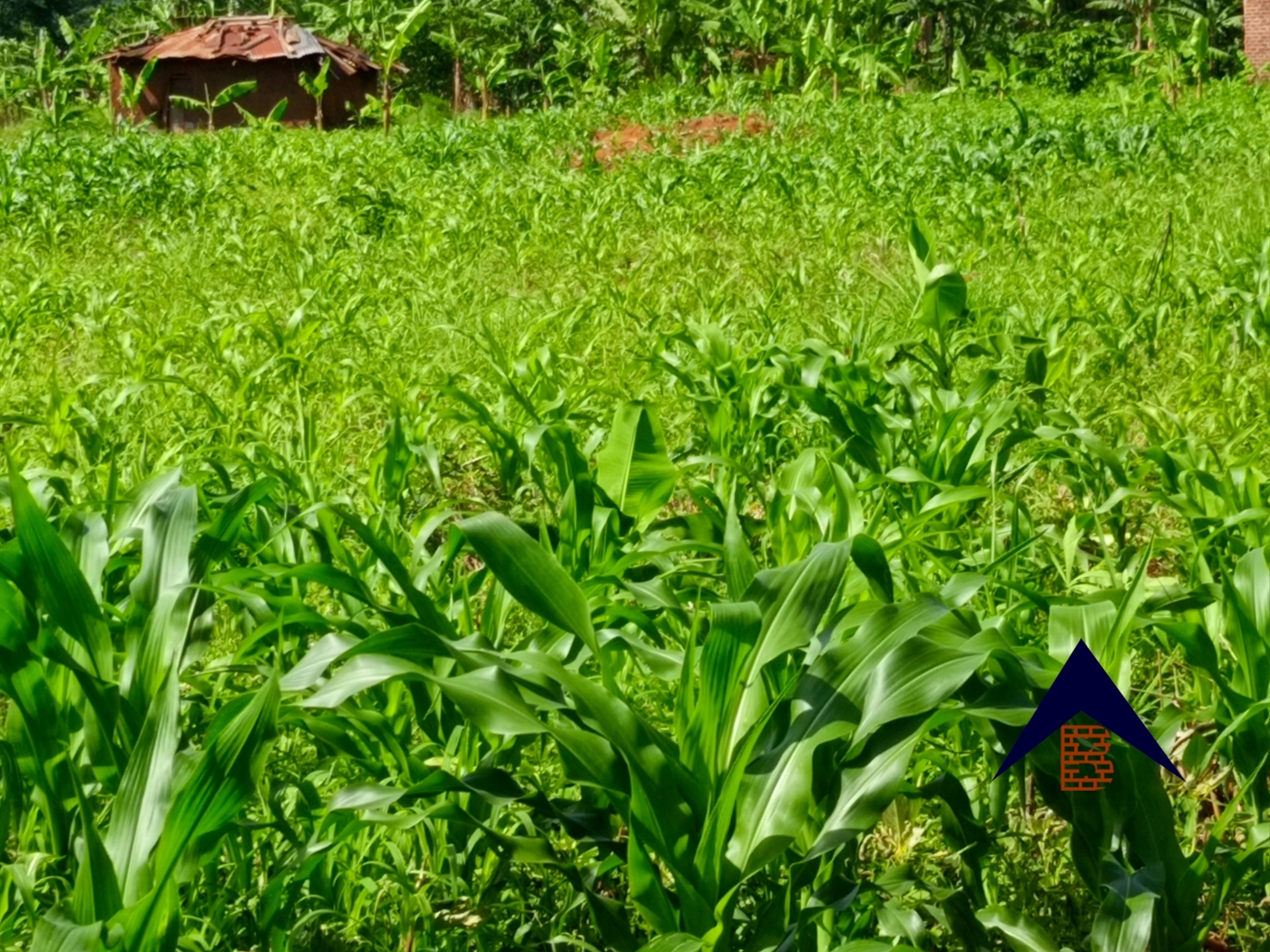 Agricultural Land for sale in Kanyanda Wakiso