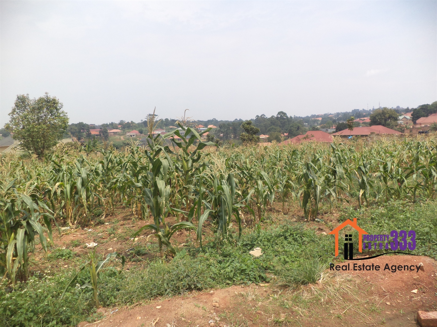 Residential Land for sale in Kiteetikka Kampala