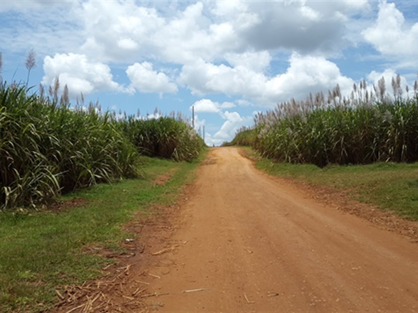 Agricultural Land for sale in Ntinkalo Jinja
