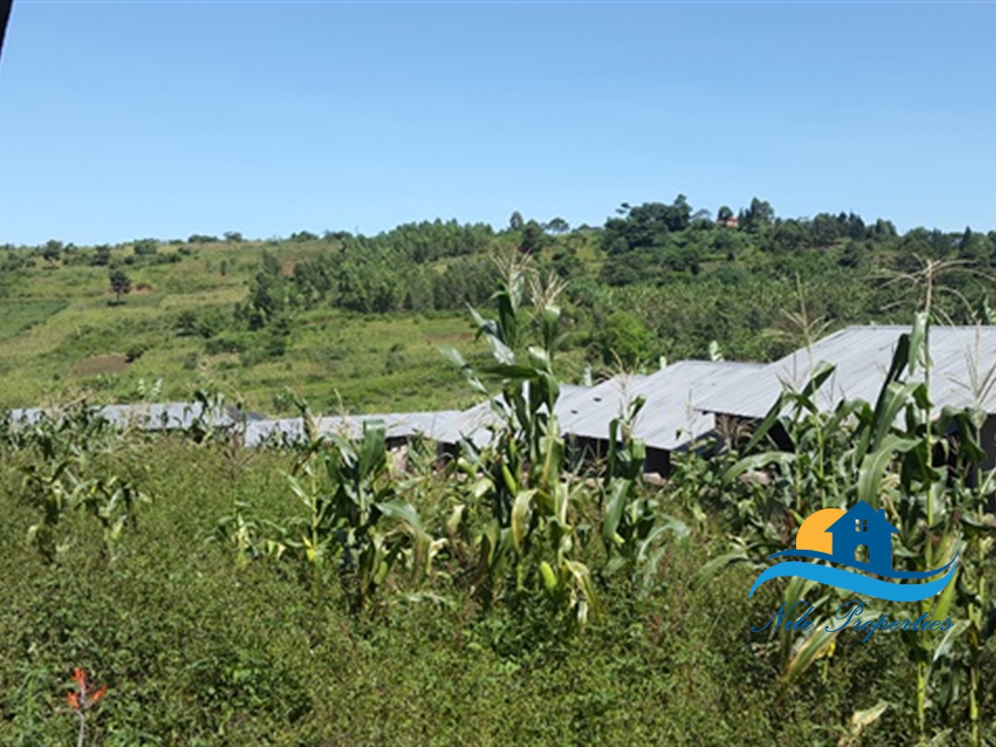 Agricultural Land for sale in Njeru Jinja