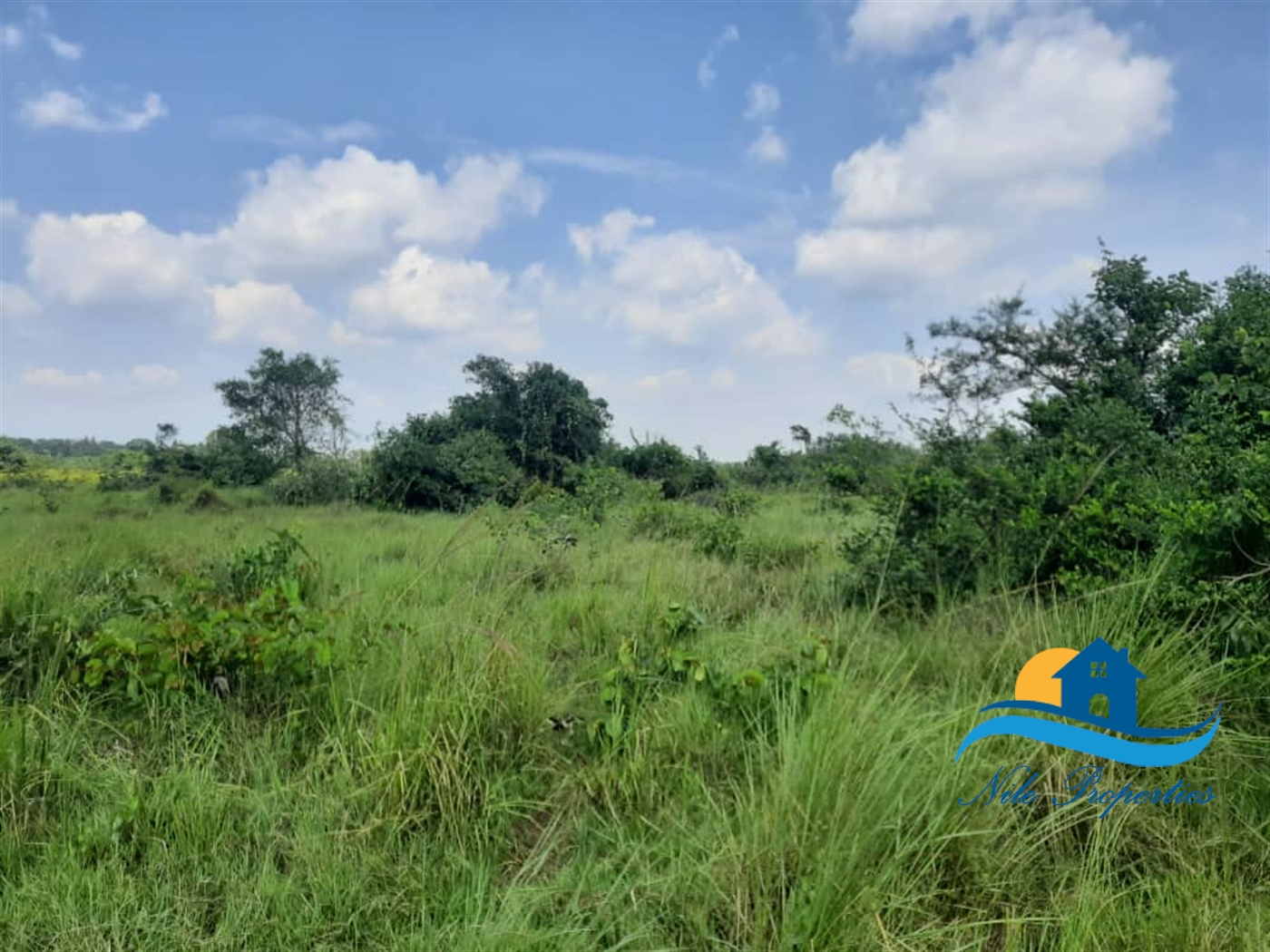 Multipurpose Land for sale in Kakooge Luweero