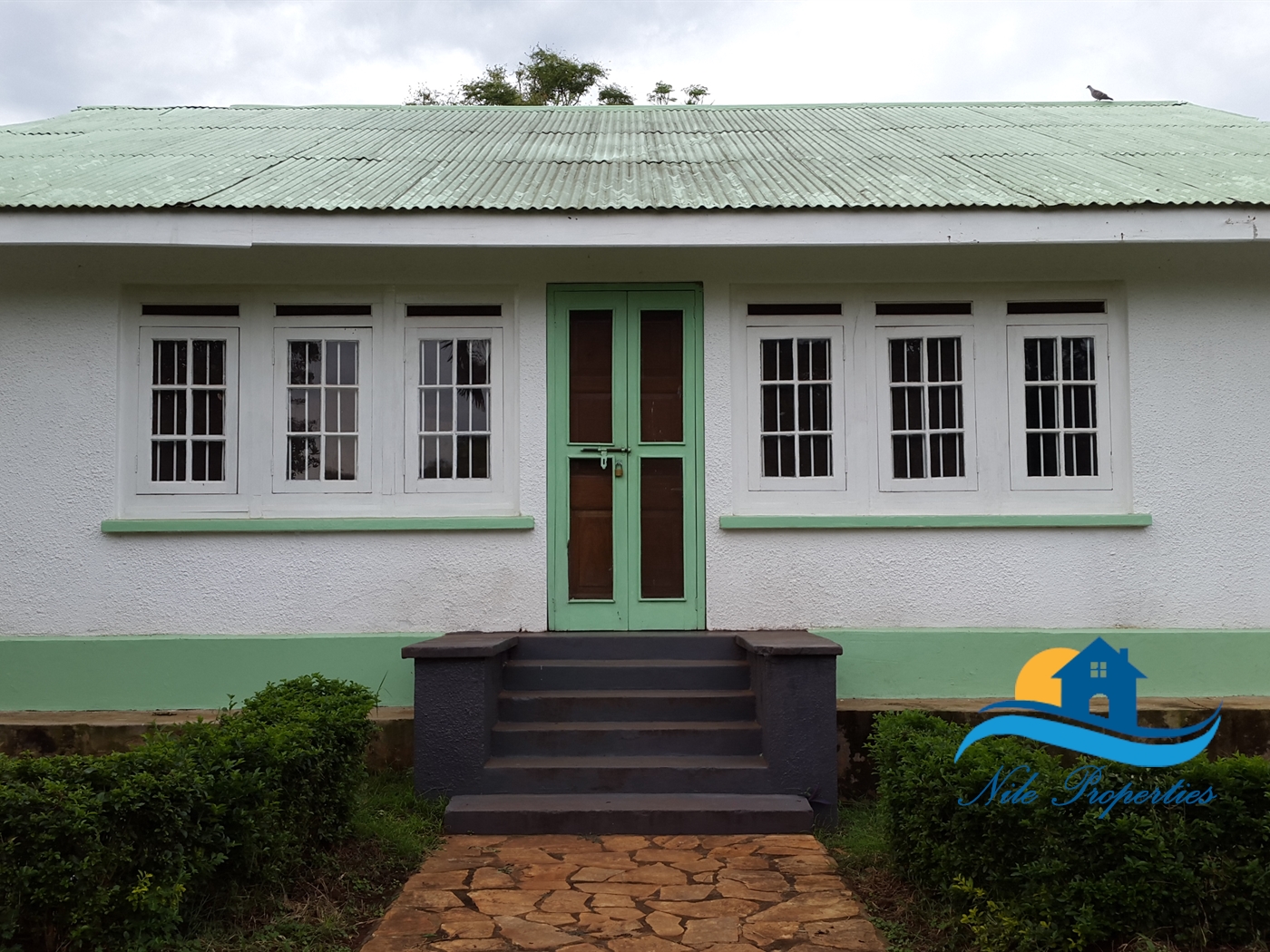 Bungalow for rent in Jinja Jinja