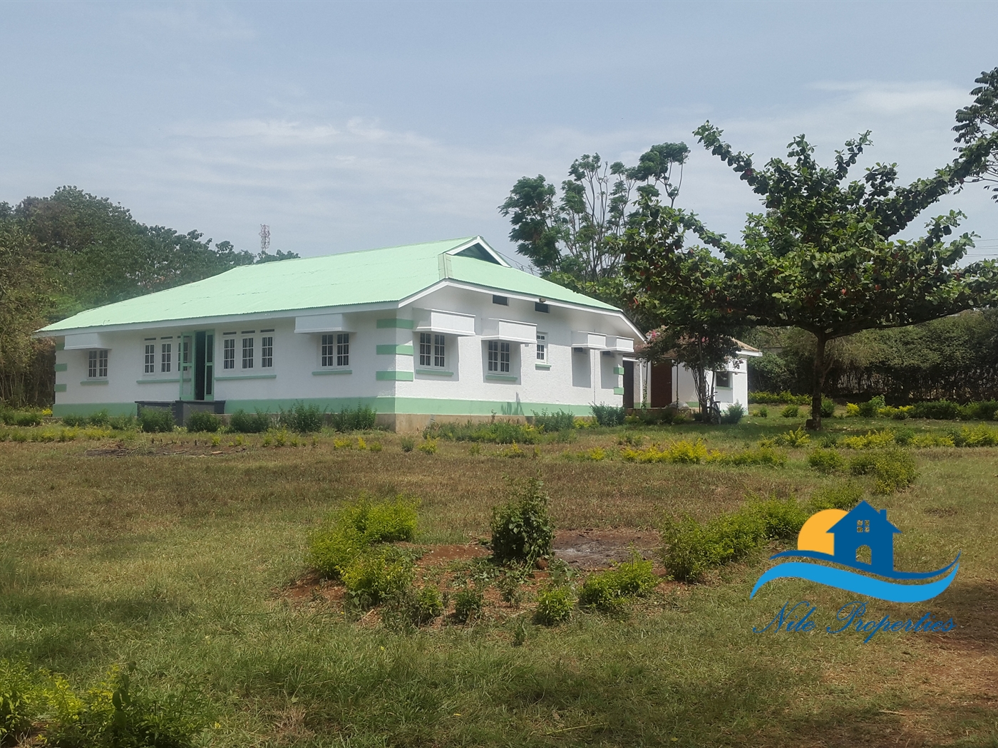 Bungalow for rent in Jinja Jinja