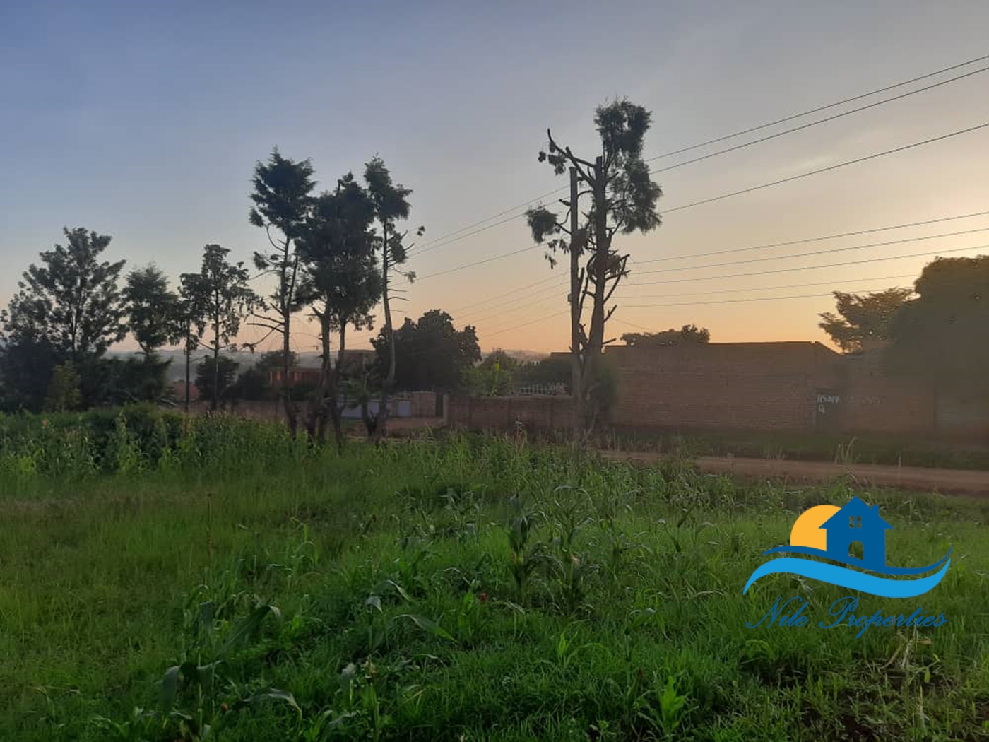 Residential Land for sale in Masese Jinja