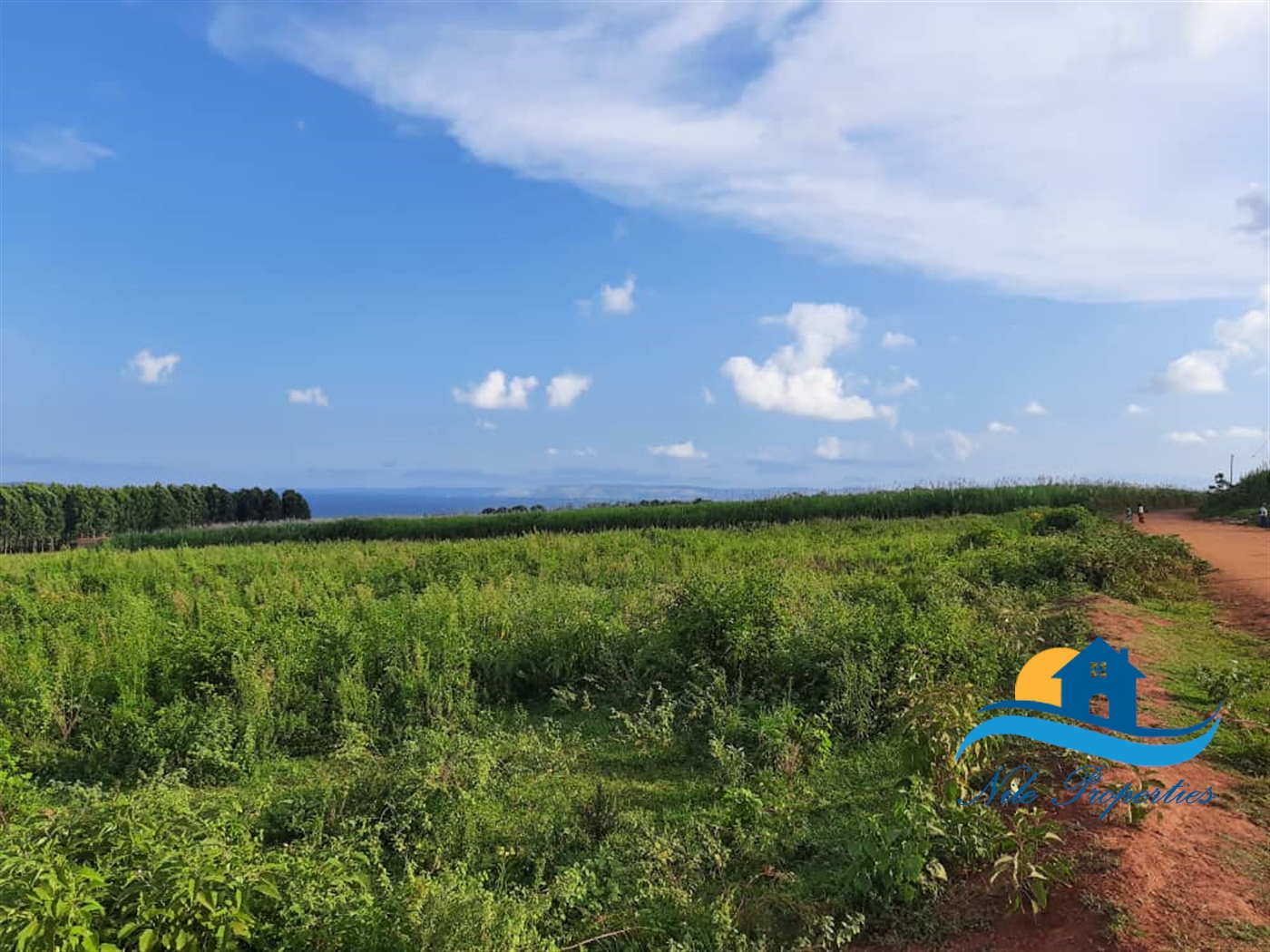 Multipurpose Land for sale in Wairaka Jinja