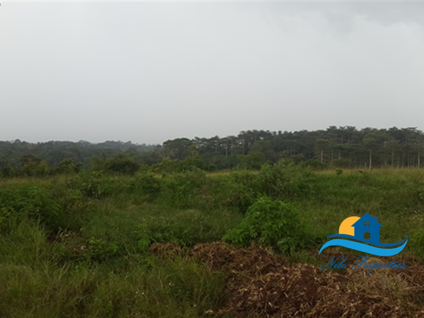 Multipurpose Land for sale in Kangulumira Kayunga