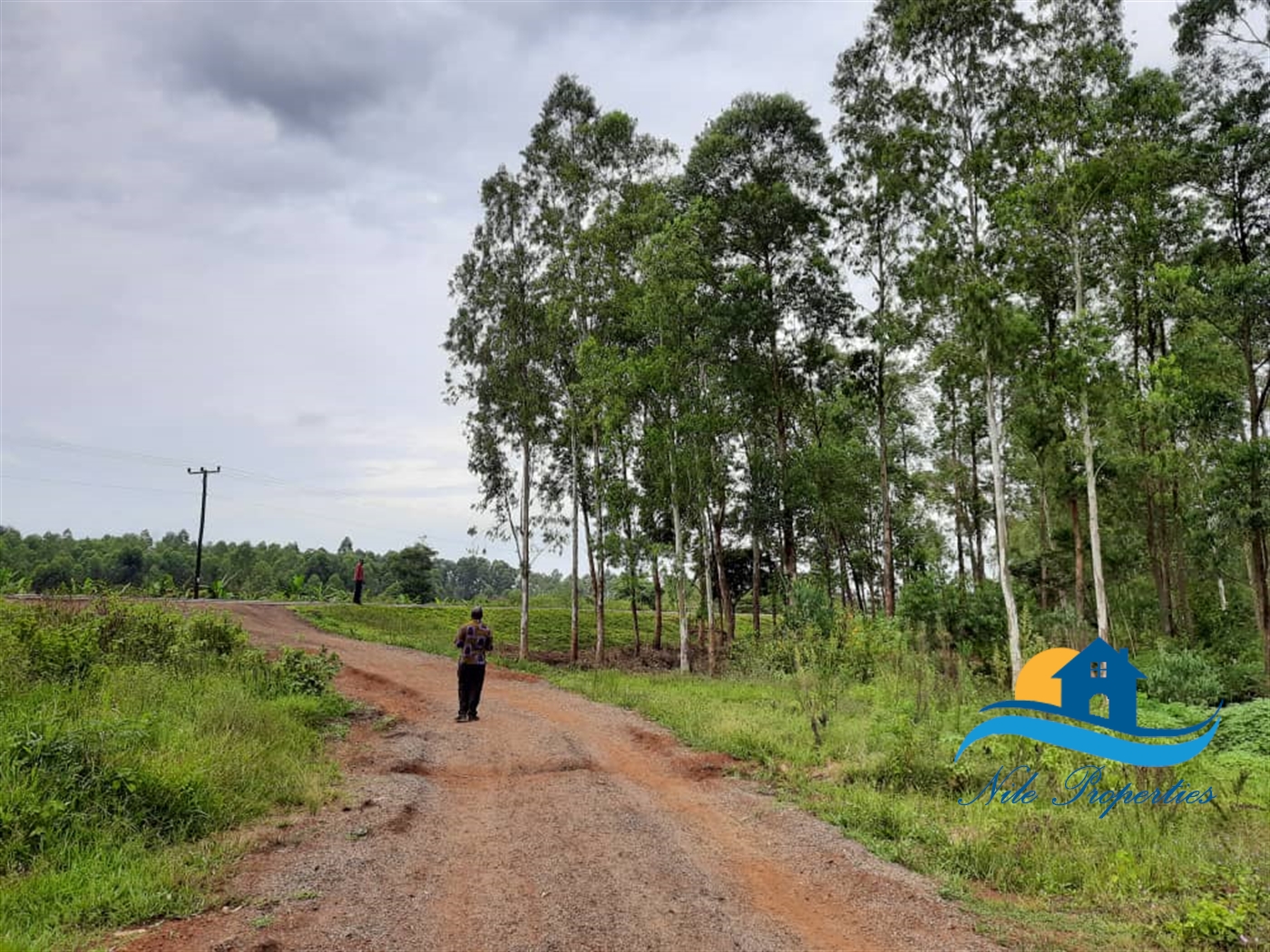 Commercial Land for sale in Namungodi Busia