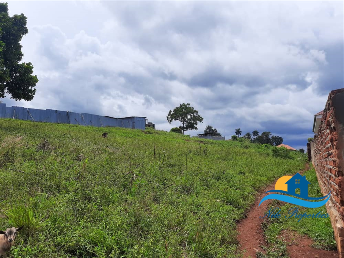 Residential Land for sale in Njeru Jinja