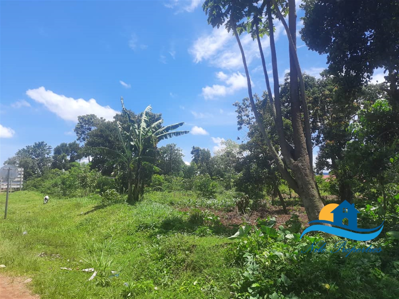 Commercial Land for sale in Nyenga Jinja