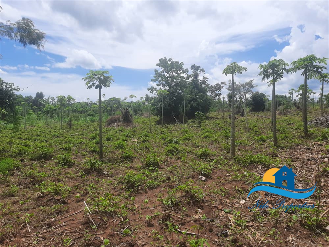 Multipurpose Land for sale in Kangulumira Kayunga