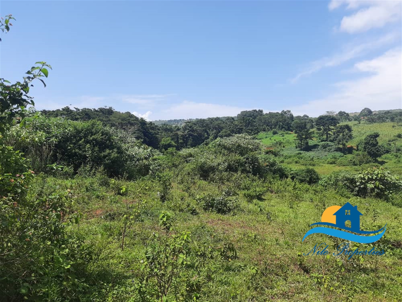 Agricultural Land for sale in Njeru Jinja