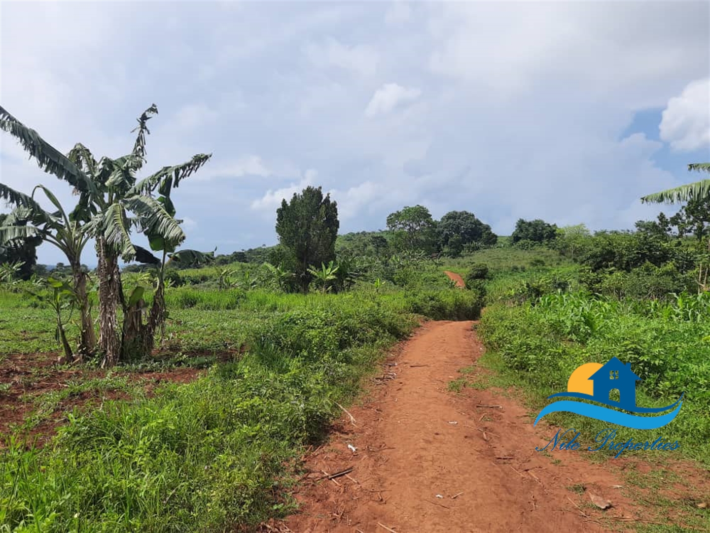 Agricultural Land for sale in Kiyindi Buyikwe