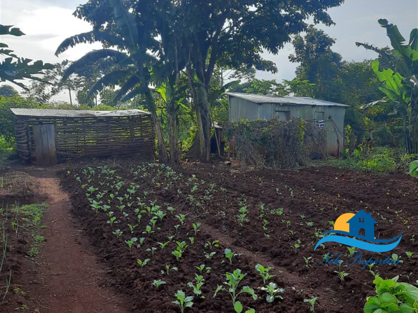 Agricultural Land for sale in Lwanda Jinja