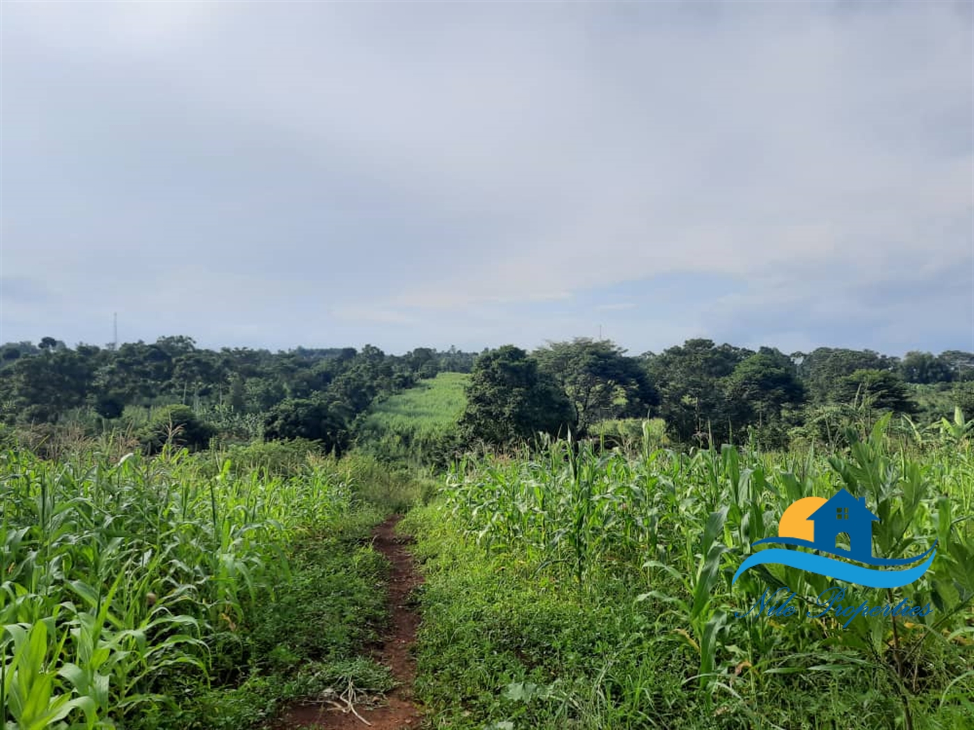 Agricultural Land for sale in Lwanda Jinja