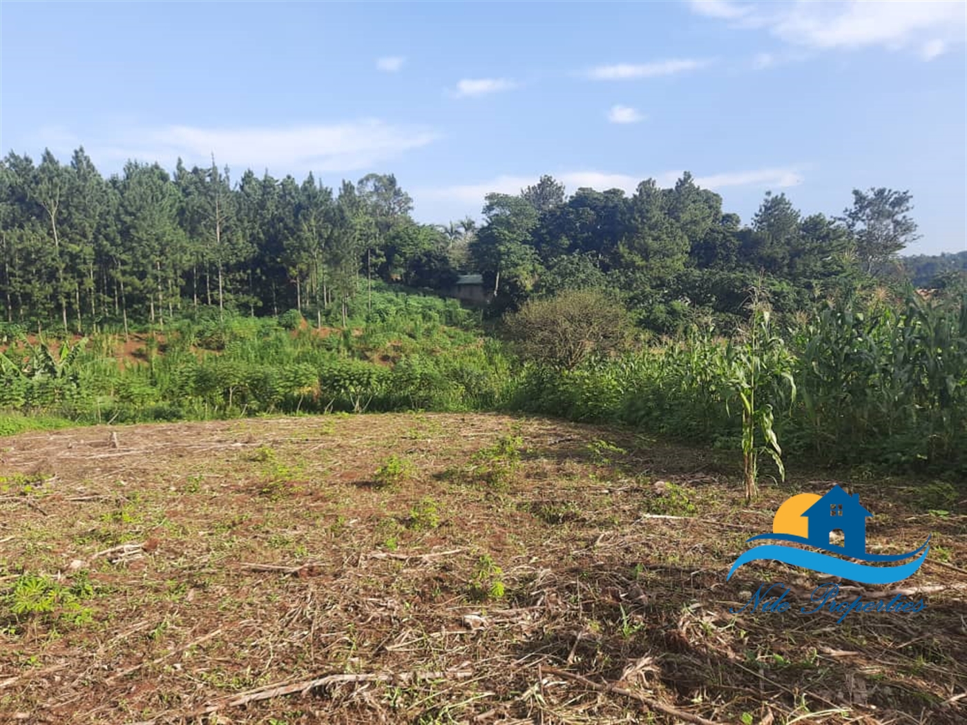 Multipurpose Land for sale in Buwenda Jinja
