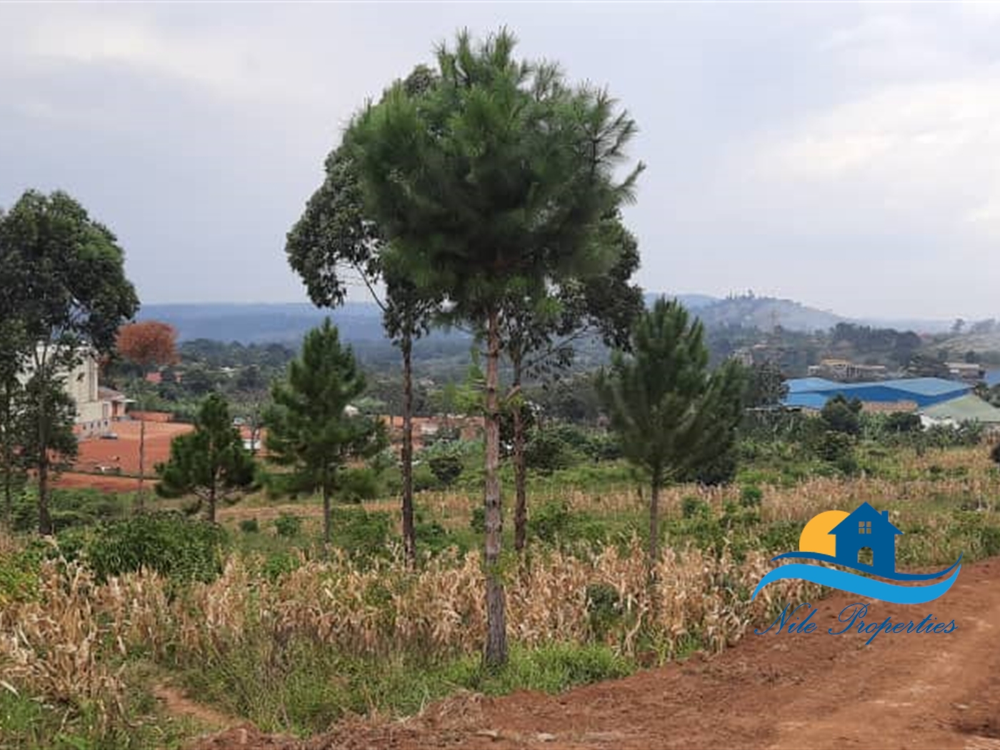 Residential Land for sale in Naminya Jinja