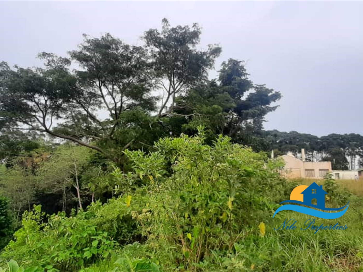 Recreational Land for sale in Rivernile Jinja