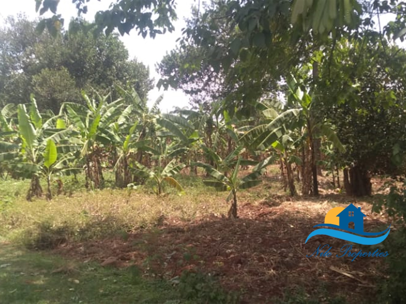 Residential Land for sale in Bukaya Jinja