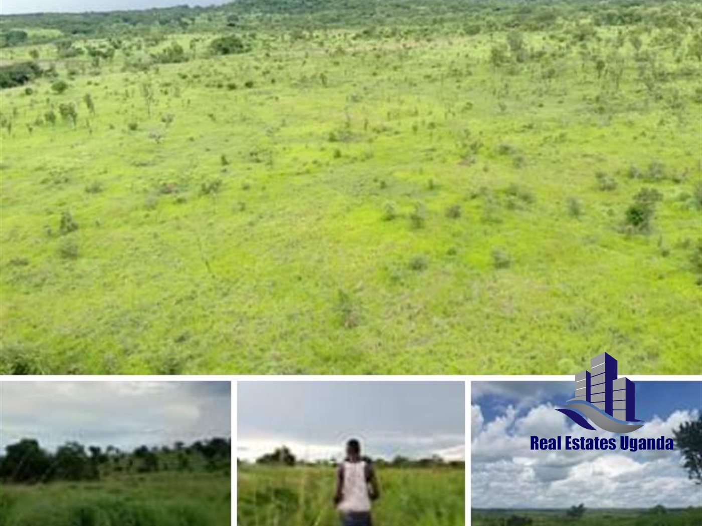 Agricultural Land for sale in Amuru Amuria