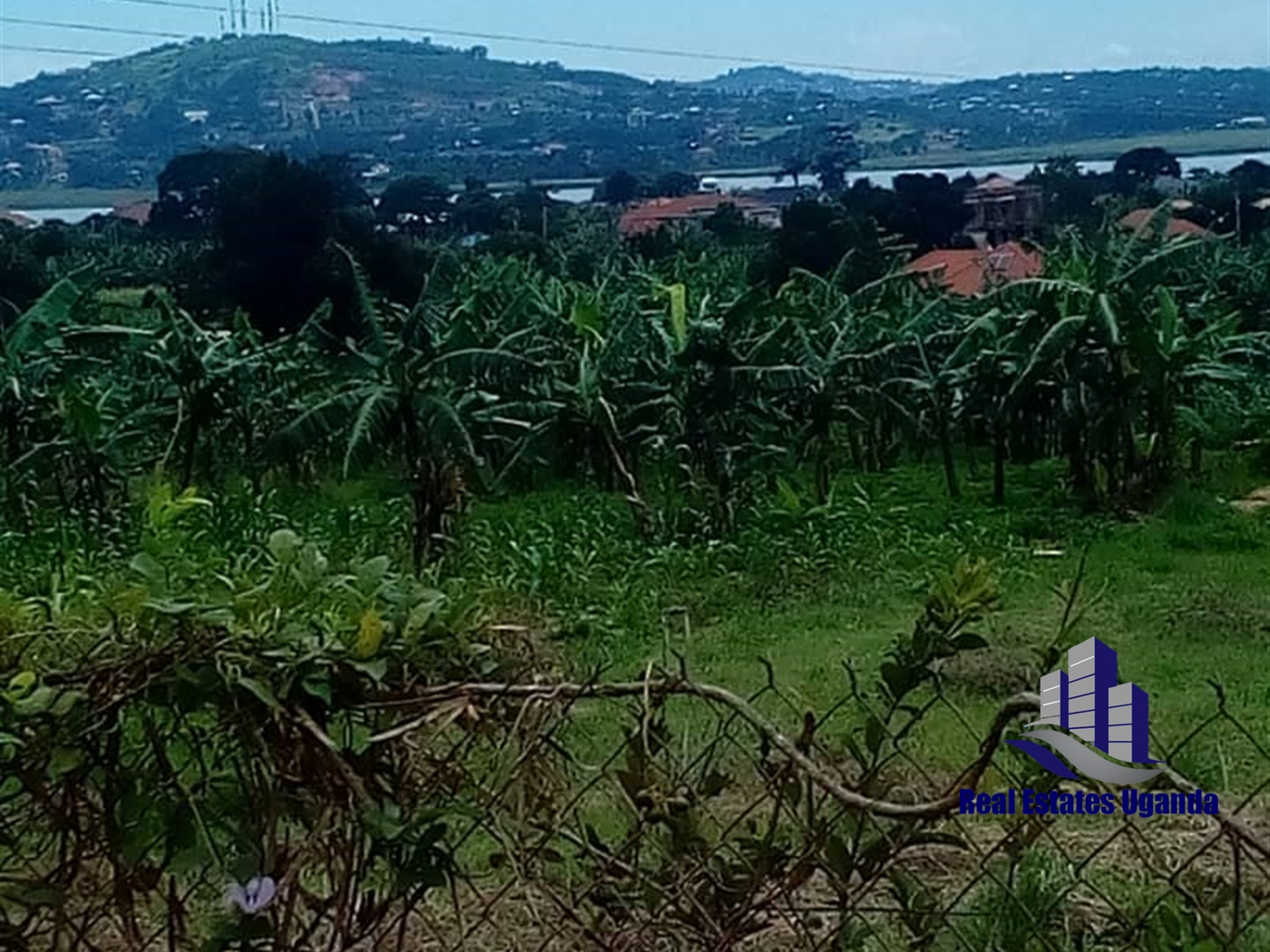 Agricultural Land for sale in Amuru Amuria