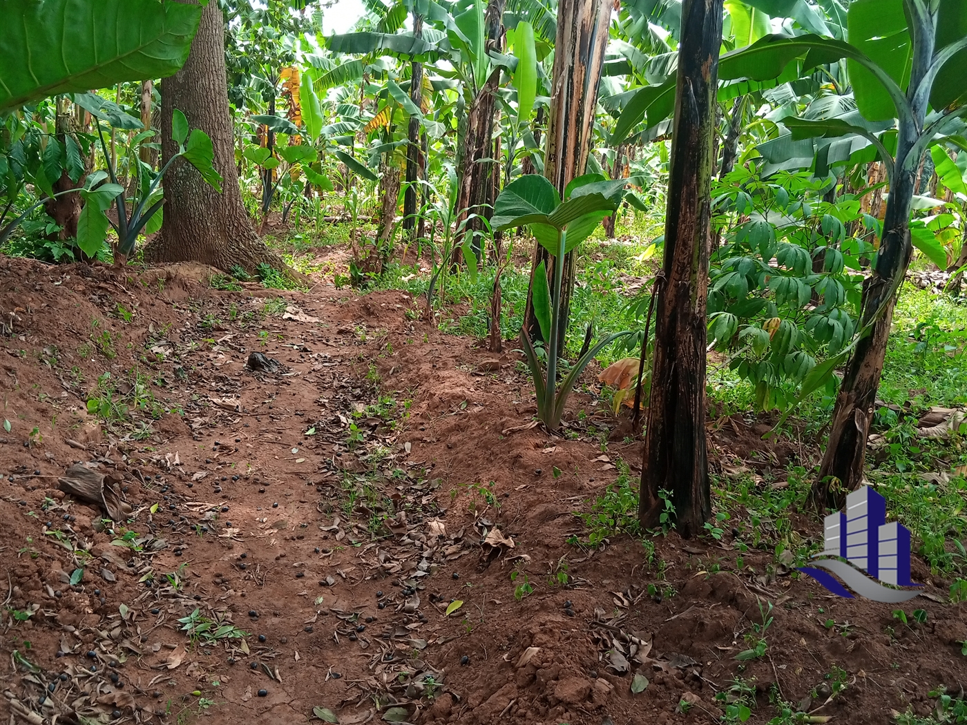 Multipurpose Land for sale in Gayaza Wakiso